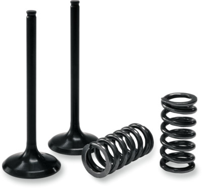 Prox Valve And Spring Kit 28Sis63292