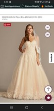 Wedding Gown Vintage Rose with Train David's Bridal Size 12 Brand New