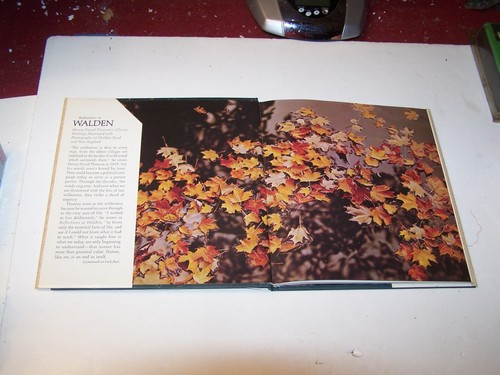 New in the original box book titled Reflections at Walden Hallmark Crown 1971 - Picture 6 of 12