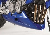 Bugspoiler FüR Yamaha XJR1300 2004-2006 RP10 Bodystyle