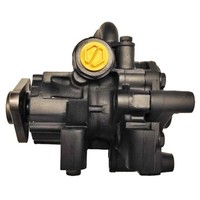 Hydraulikpumpe Lenkung Lizarte 04.94.0190 FüR Peugeot Ford CitroëN Fiat Boxer