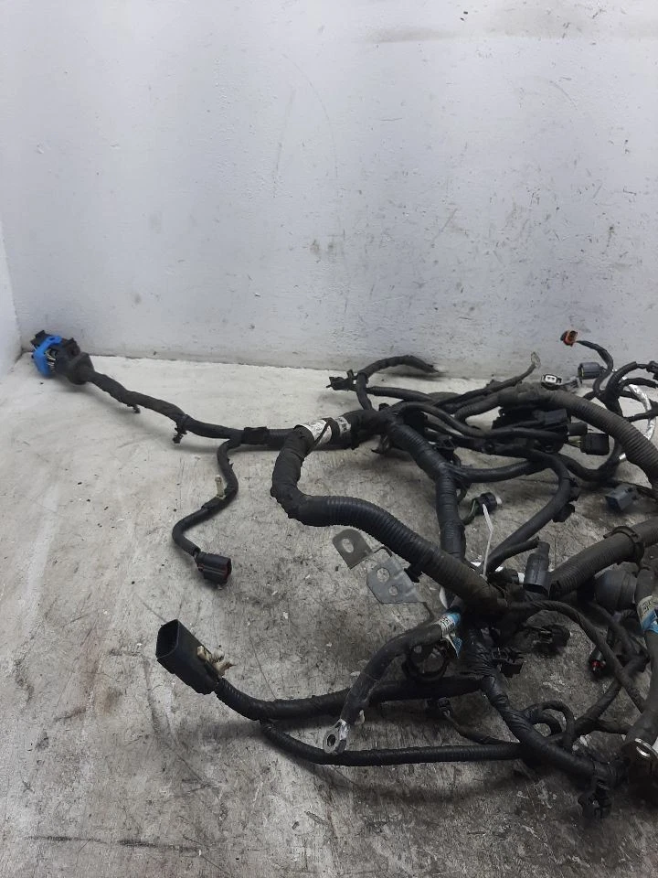 Arnés de cables del motor Ford Focus 2016 2,0 L PZEV sin identificación de niebla G1EZ14290Y Foto 2 de 4