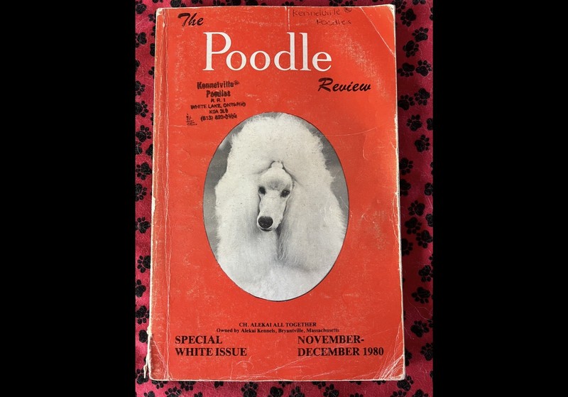 POODLE REVIEW Magazine #4 1980