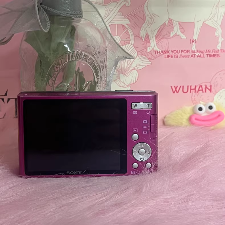 SONY Cyber-shot DSC-W550 14.1 MP 4x Optical Zoom Digital Camera