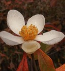 Foto 2 di 5