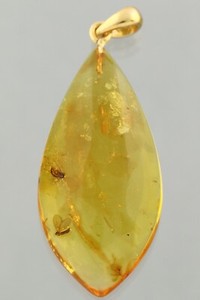 Authentic 2 MOTH FLIES Fossil BALTIC AMBER Gold Plated Silver Pendant 3.7g 241126-3