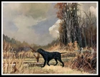 CURLY COATED RETRIEVER  AND BIRD DOG ART PRINT POSTER