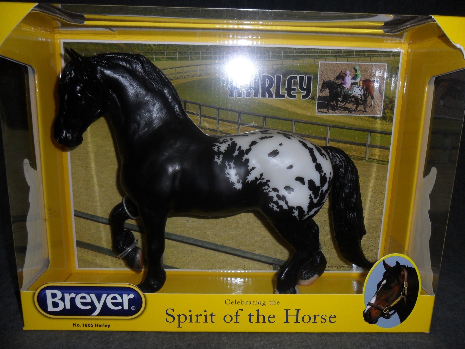 1805 Appaloosa Friesian Race Pony Traditional Model Horse Harley Breyer