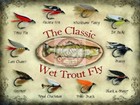 Classic Wet Trout Fly design metal sign 30cm x 40cm