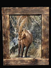 Quadro artigianale 30x40 con cornice in legno - varie opzioni disponibili