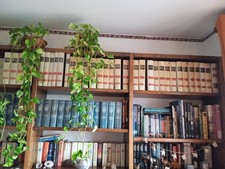 Enciclopedia Utet completa 19 volumi + altri 10 specifici+4appendici