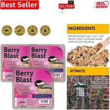 Berry Blast Suet Cakes for Woodpeckers  Sparrows - 3 Count High-Energy Pack