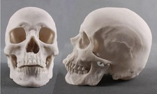 Silikonform 3D Totenkopf Mousse Kuchenform 1:1 Mensch Kopf Größe Schokolade Harz Mold