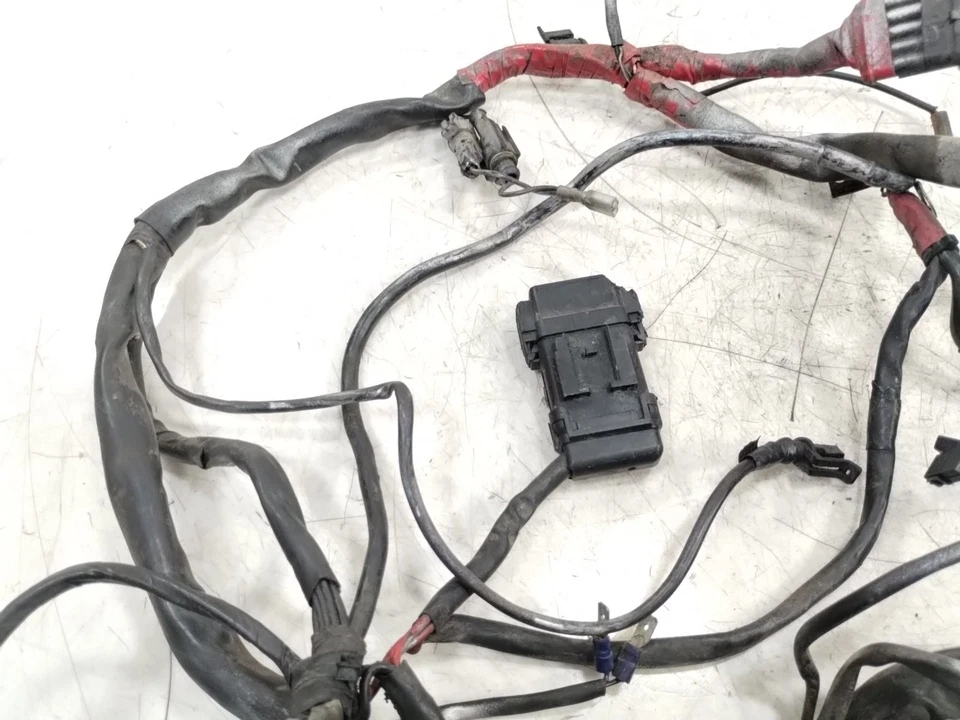 Ducati Monster M750 M900 2000 cableado principal arnés telar Foto 3 de 4