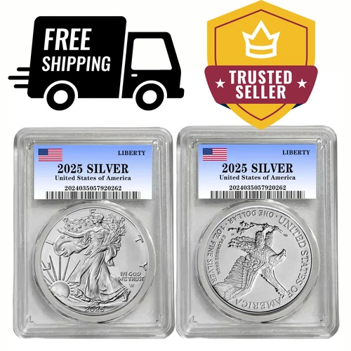 $1 American Silver Eagle Eagle Privy 1 oz .999 Fine Silver  ( 2025 (P)