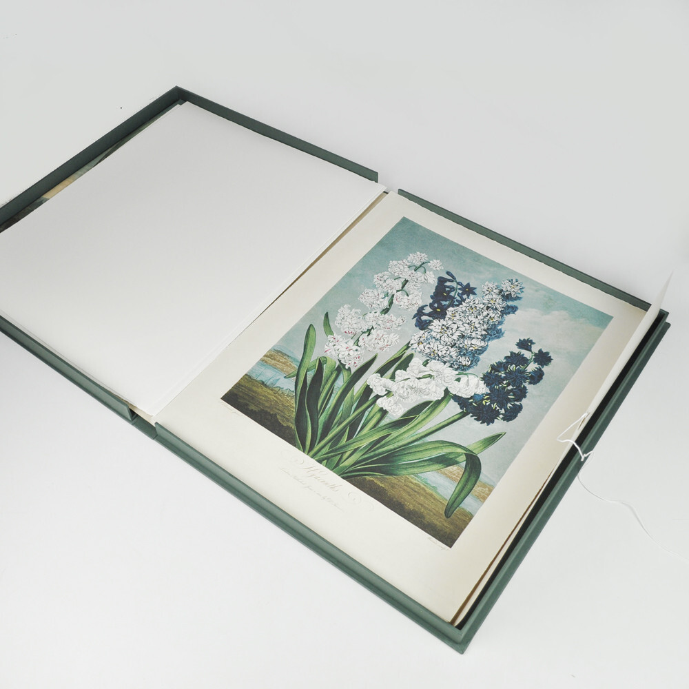 The Temple of Flora - The Complete Plates - Robert John Thornton