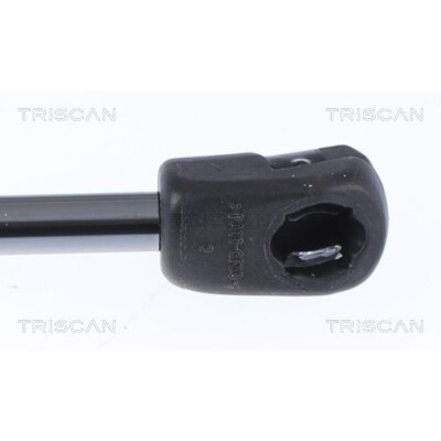 GASFEDER Koffer-/laderaum Triscan 8710292057 für AUDI online 