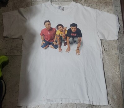 Vintage BLINK 182 White Rock Band T Shirt 2000 Large Adult