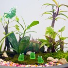 Foto 7 di 11