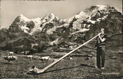Alphorn 