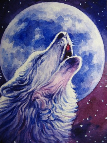 Watercolor Painting Wolf Howl Night ACEO Art No.24