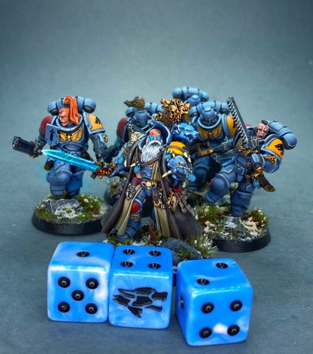 Frost Wolf 16mm Wargaming Dice - Compatible with Warhammer 40k, AoS, etc. - Picture 9 of 10