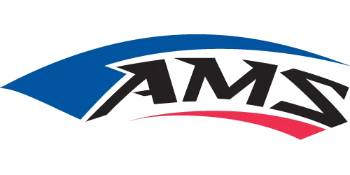 Neumático delantero AMS Bite MX 2,50-10 33J para LEM CXF2 06 Foto 3 de 4