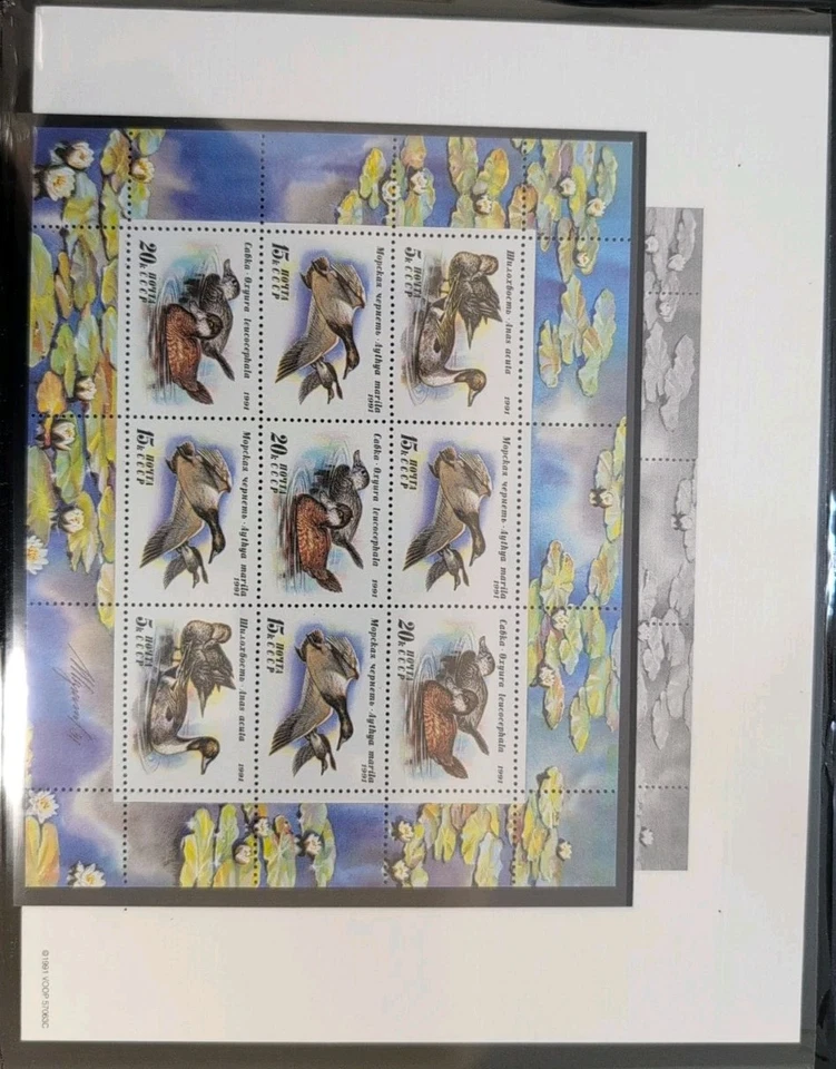 1991 USSR RUSSIA - Conservation Waterfowl Duck Stamp - Mint OG NH - Image 4 of 4