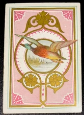 SQ134 Swap Playing  Cards 1  Antique Eng Square Corner Duck Mallard C1800’s