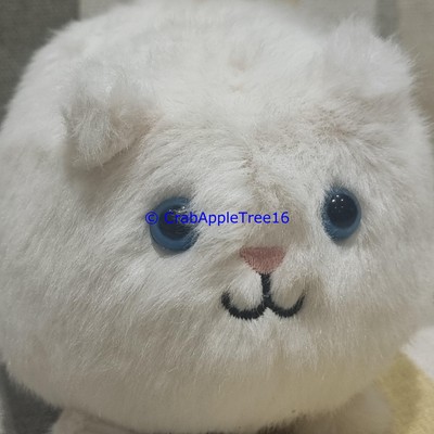 Jellycat Cream Kitten Caboodle Soft Toy Plush BNWT NEW | eBay UK