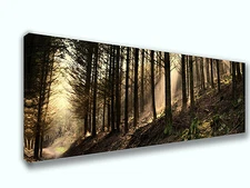Morning Mist Forest Nature  Panoramic Picture Canvas Print Home Decor Wall Art