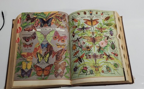 Library Of Universal Knowledge Teh practical self-educator Chicago 1960 book - Picture 14 of 21