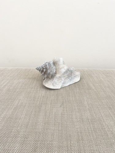 Next Grey Concrete Effect Shell Ornament Sculpture/home Office Sea Deco Gift New - Picture 2 of 6
