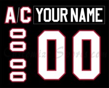 Rockford IceHogs Customized Number Kit for 2008-2012 3rd Uniform