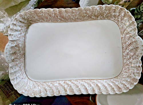 LS&S CARLSBAD AUSTRIA VERY LARGE 17" x 11" Serving Platter Gold Accented