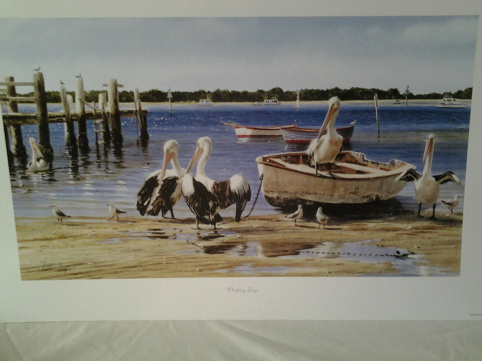 Gordon Hanley Prints Kookaburras Wildlife "The Hub" Open Edition eBay