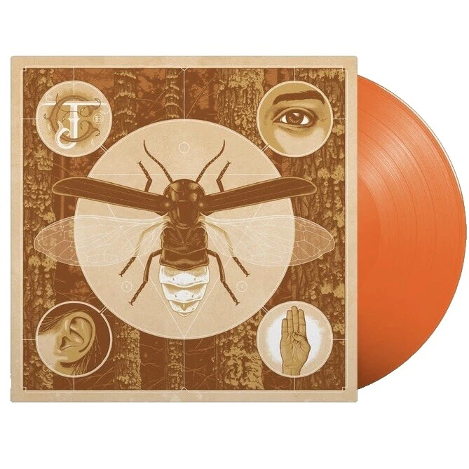 Discos de vinilo de rock de herramientas de rock duro