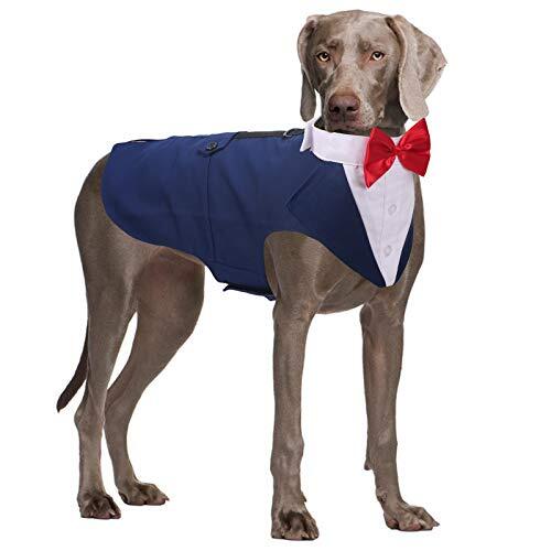 Haustier Anzug Mit Fliege Für Hunde - 2-teilig, Aus Baumwolle, Für Hochzeiten & Partys