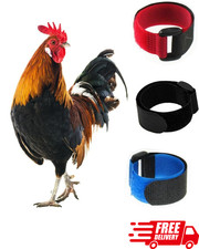 3 Pack No Crow Rooster Collar Anti-Noise Neckband for Quiet Chickens