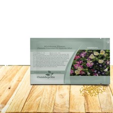 100 Seeds Torenia Fournieri Seeds - Wishbone Flower Seed