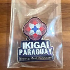 Osaka-Kansai EXPO2025 Paraguay Pavilion Staff Pin