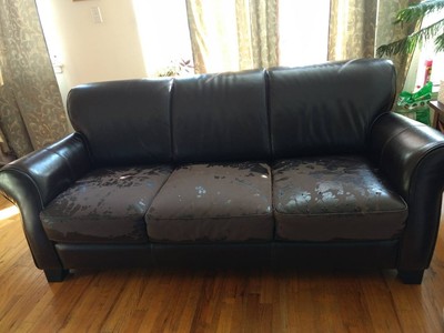Used Leather Sofa And Loveseat Dark Brown Raymour Flanigan