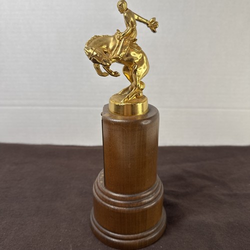 Bucking Bronco Rodeo Western Cowboy Trophy Award Prize Not Engraved ...
