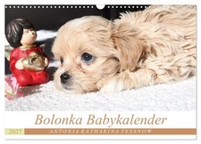 Calendar 2027 US Version Bolonka baby calendar 2027 Wall Calendar 2027 17"