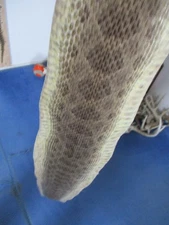 rattlesnake skin prairie rattle snake hide DRY TANNED wrap pen blanks 53 in. K6