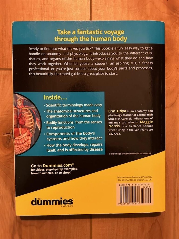 Human Anatomy Skeleton Study Bones Model Medical eBay