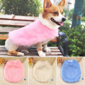 corgi clothes