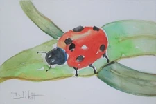 ladybug insect bug collectible watercolor 6x9 art Delilah