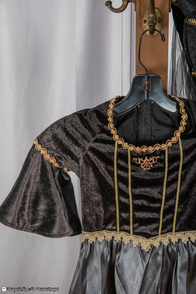 Disfraz de Doncella Avalon Niño Pequeño 5-6 Princesa Renacimiento Medieval Halloween Foto 2 de 3