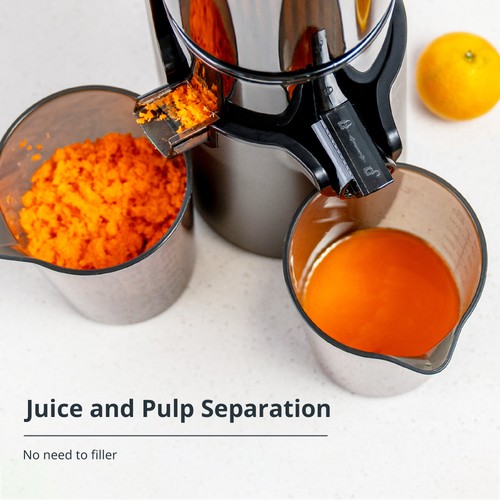 Larinest Slow Masticating Juicer, Cold Press Juicer Machines with 4" Wide Chute - Picture 11 of 25
